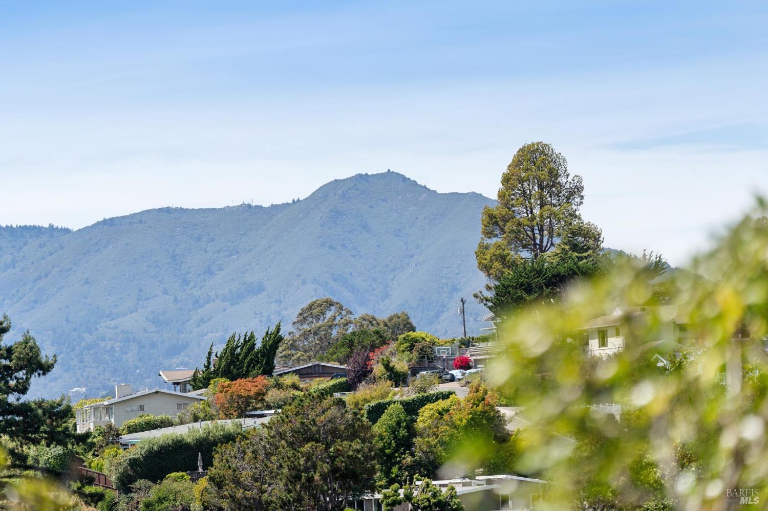 705 Hilary Drive Tiburon CA 94920