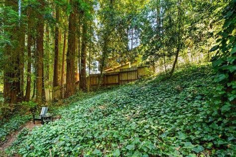 17358 Park Avenue Guerneville CA 95446