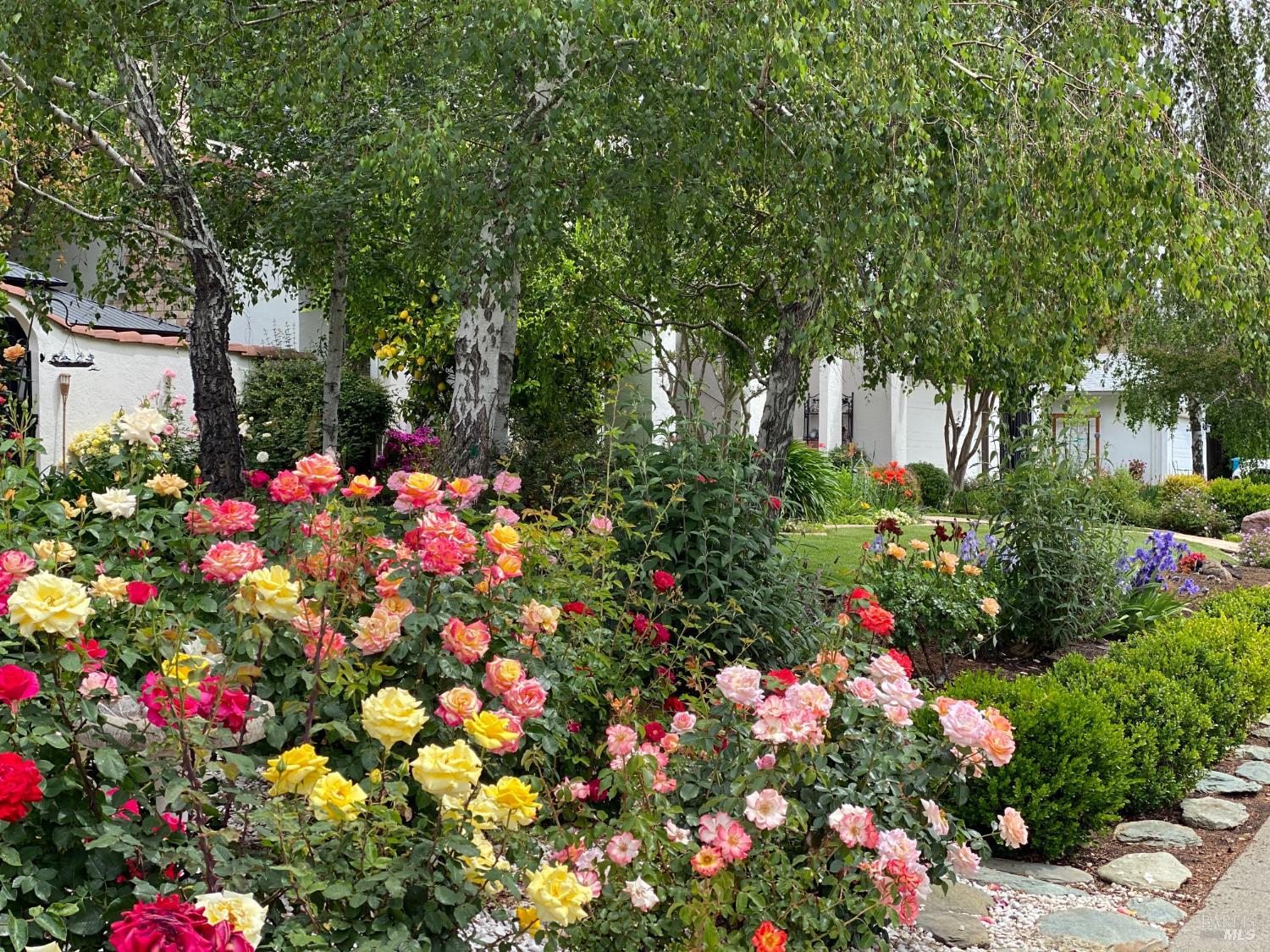 481 Crestview Drive Vacaville CA 95688