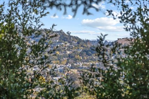 129 Piedmont Court Larkspur CA 94939