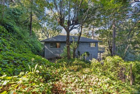 129 Piedmont Court Larkspur CA 94939