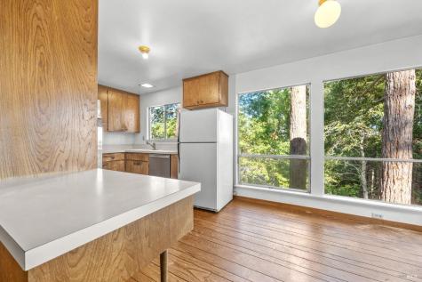 129 Piedmont Court Larkspur CA 94939