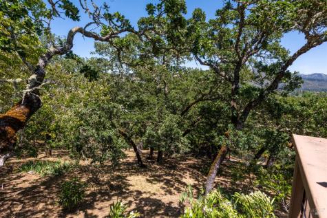 497 Hillsdale Drive Santa Rosa CA 95409