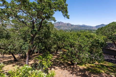 497 Hillsdale Drive Santa Rosa CA 95409