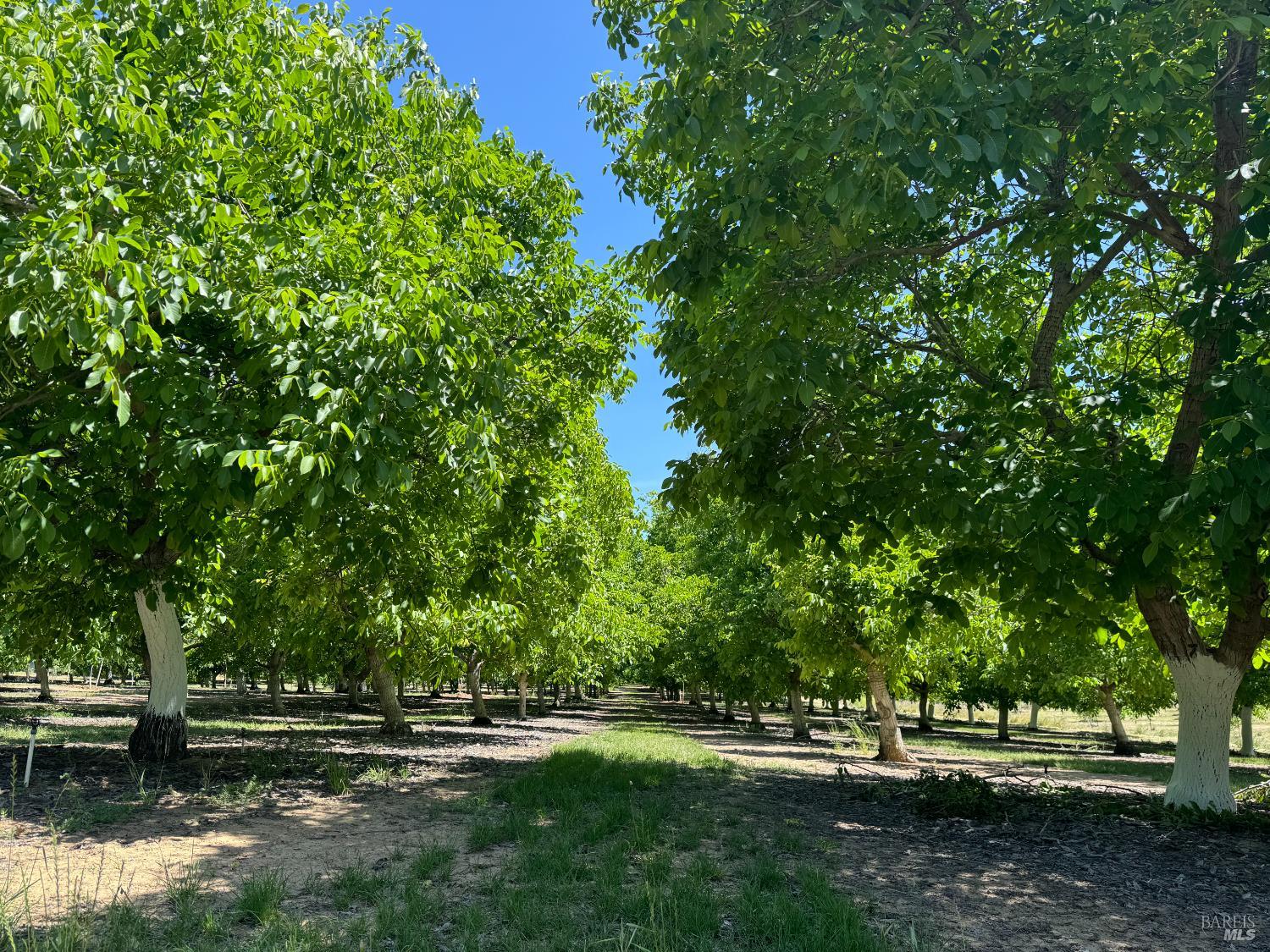 18525 Farquhar Road Cottonwood CA 96022