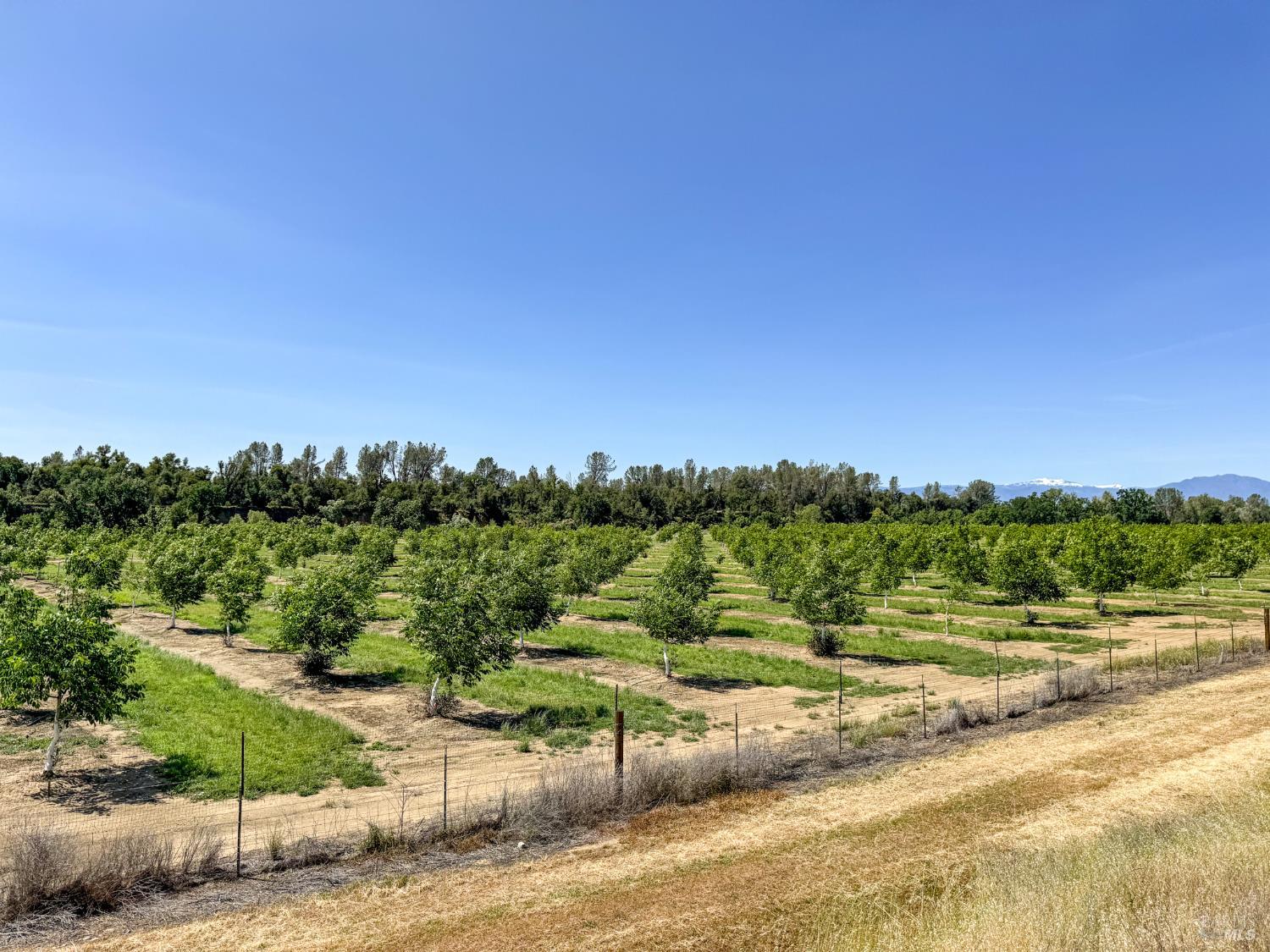 18525 Farquhar Road Cottonwood CA 96022