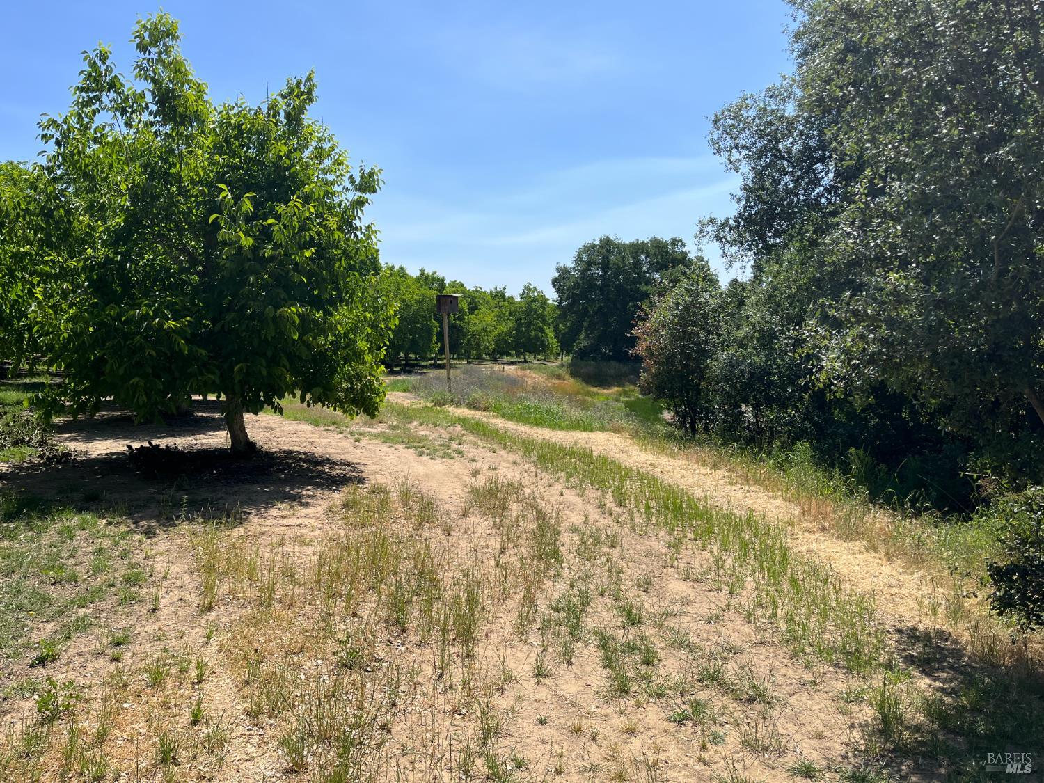 18525 Farquhar Road Cottonwood CA 96022