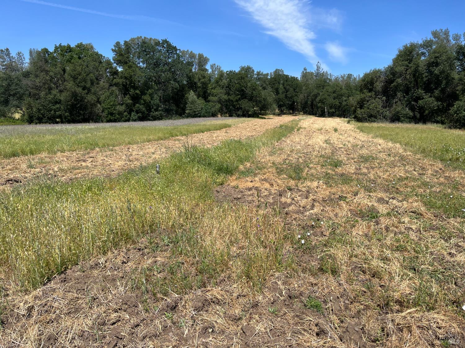 18525 Farquhar Road Cottonwood CA 96022