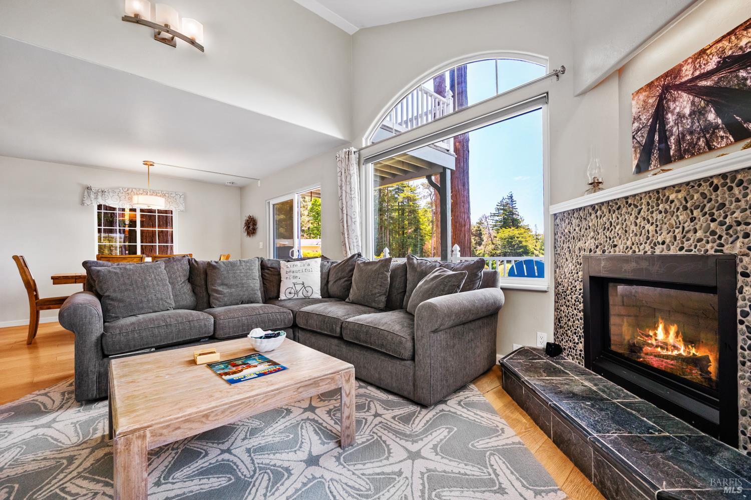 35540 Ocean View Court Gualala CA 95445