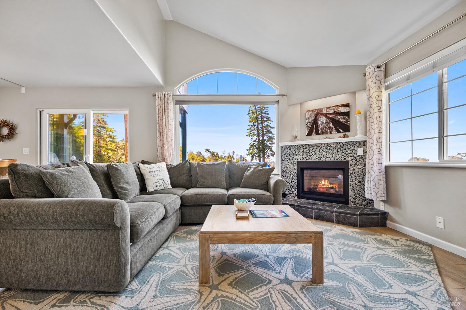 35540 Ocean View Court Gualala CA 95445