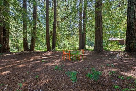 1650 Jonive Road Sebastopol CA 95472
