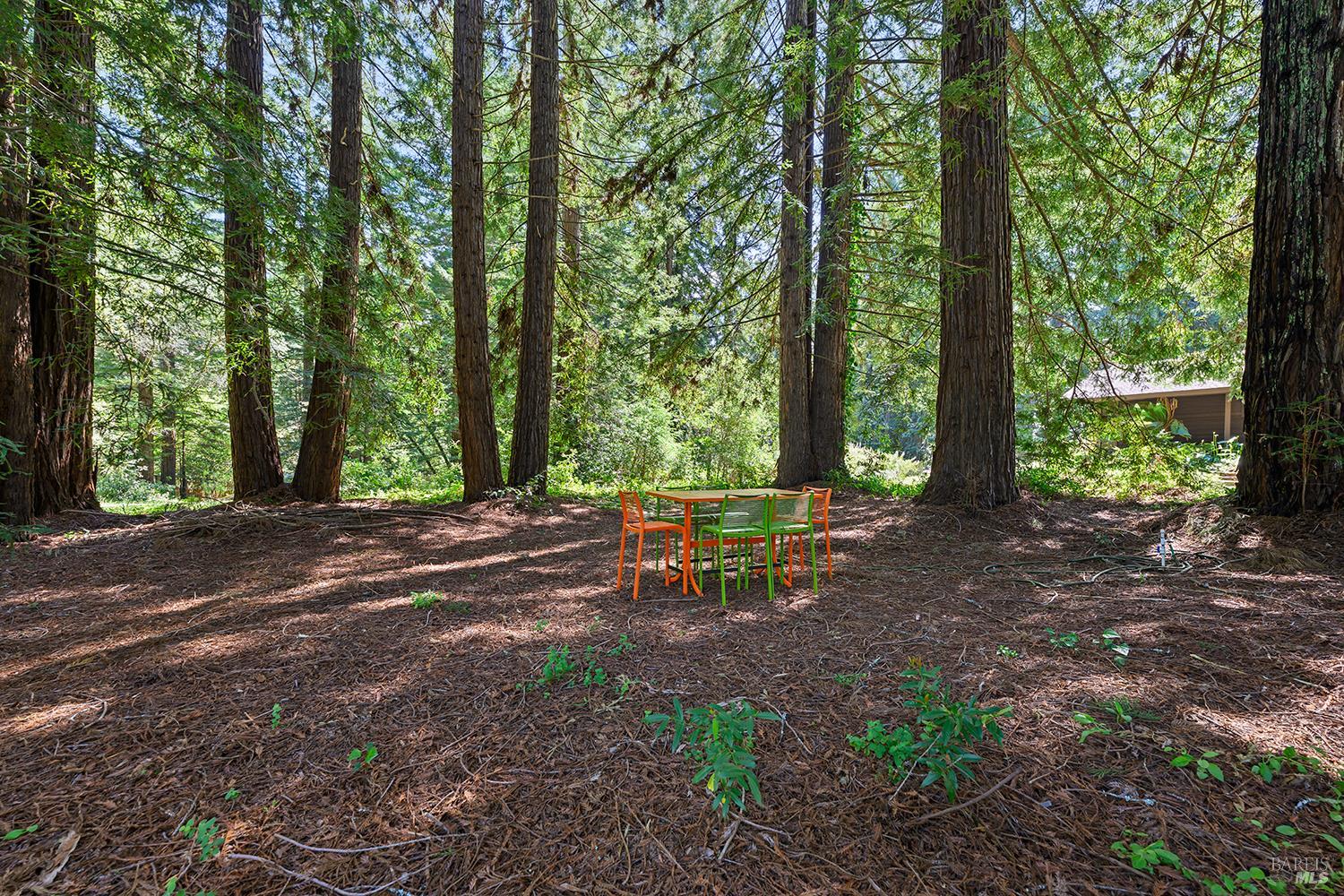 1650 Jonive Road Sebastopol CA 95472