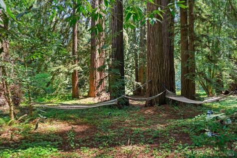 1650 Jonive Road Sebastopol CA 95472