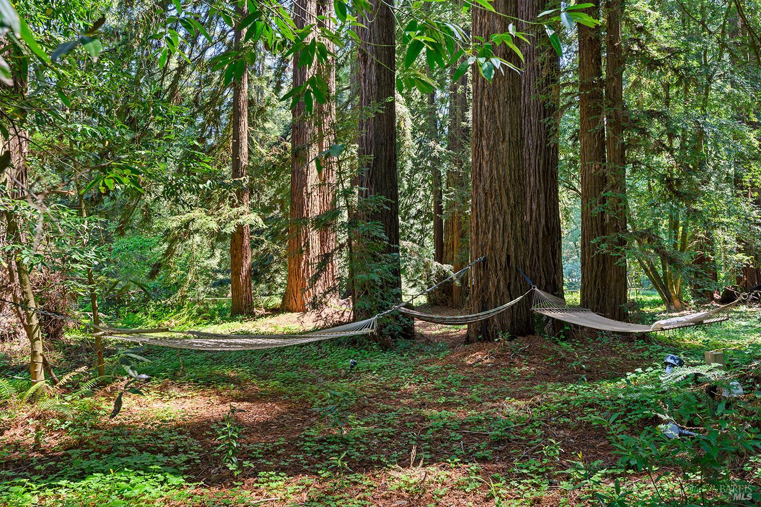 1650 Jonive Road Sebastopol CA 95472