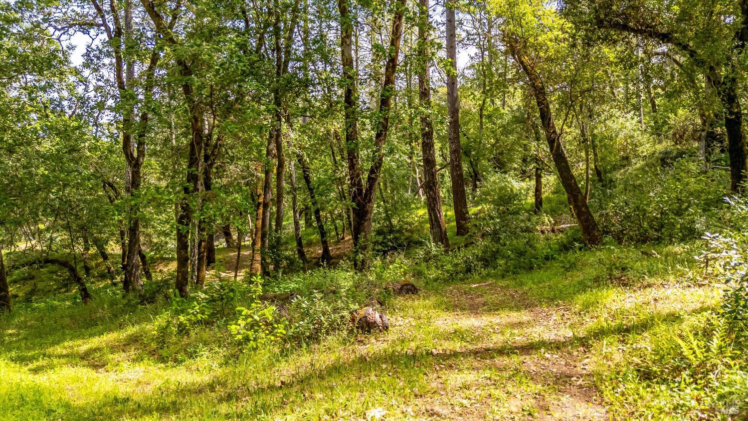 6435 Dry Creek Road Napa CA 94558