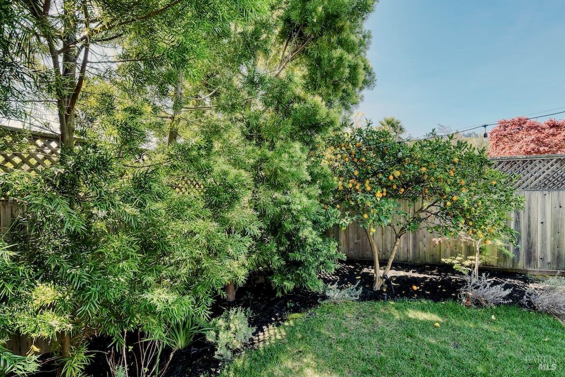 34 Diane Lane Larkspur CA 94939