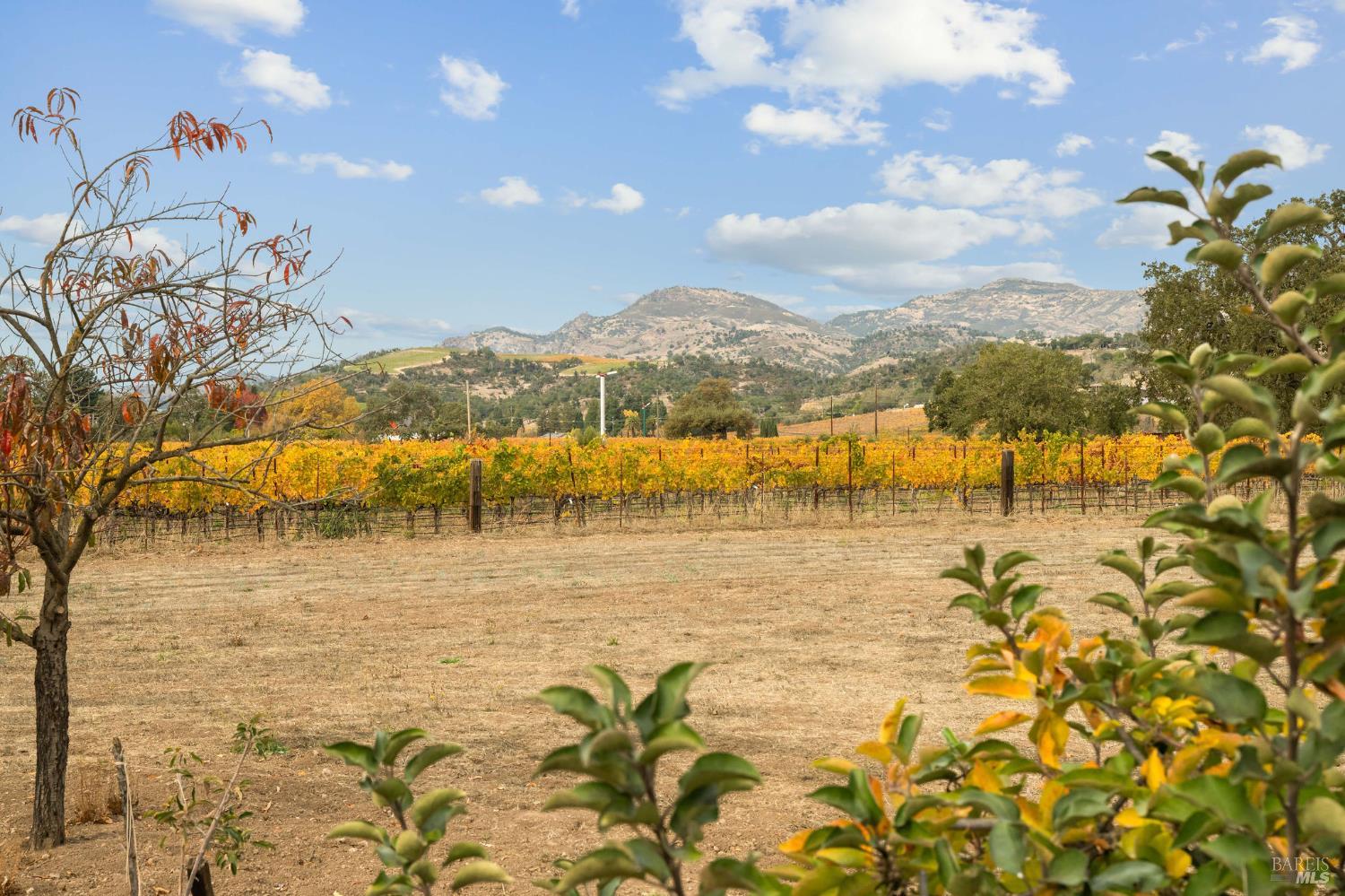 4171 Silverado Trail Napa CA 94558