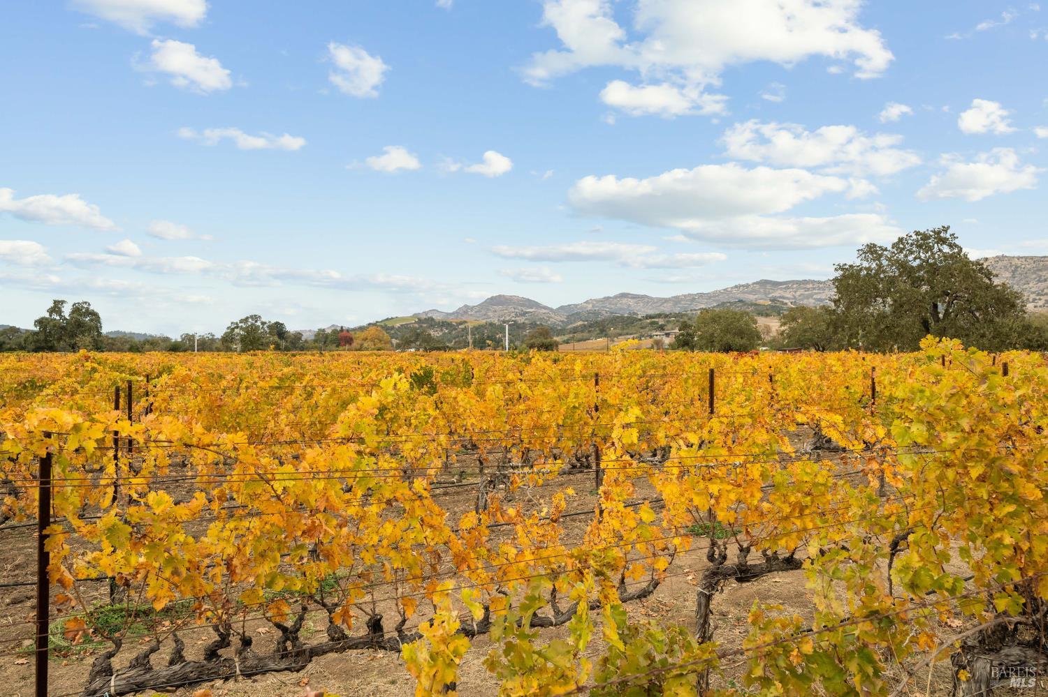 4171 Silverado Trail Napa CA 94558