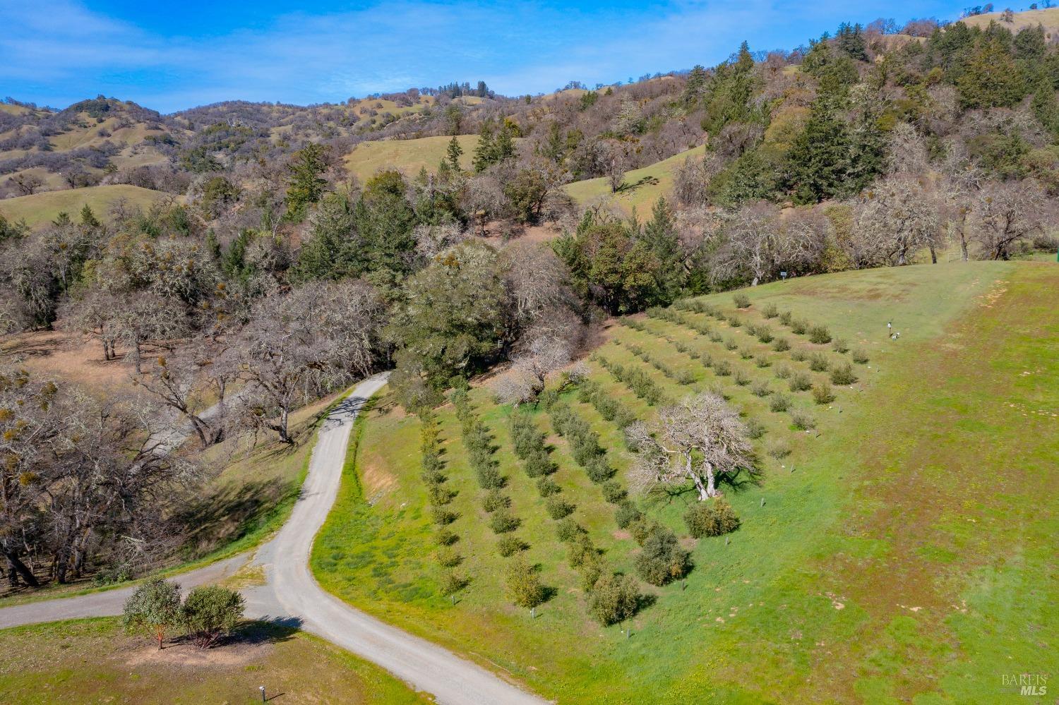 24000 Fig Tree Lane Yorkville CA 95494