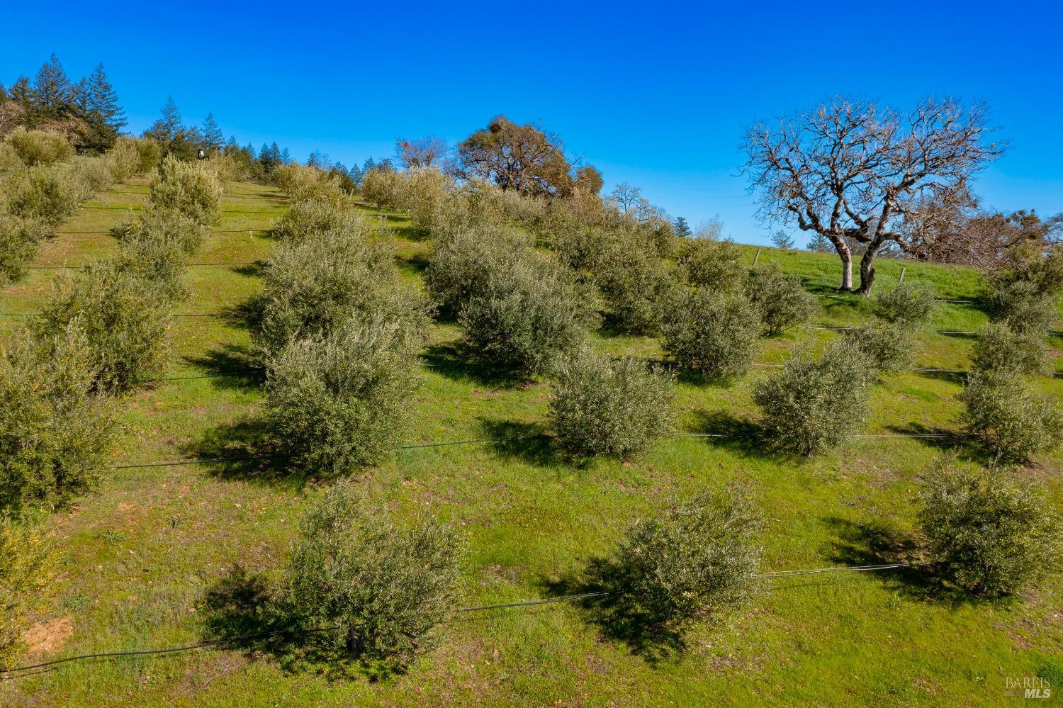 24000 Fig Tree Lane Yorkville CA 95494