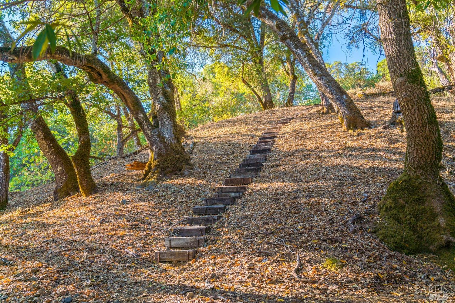 24000 Fig Tree Lane Yorkville CA 95494