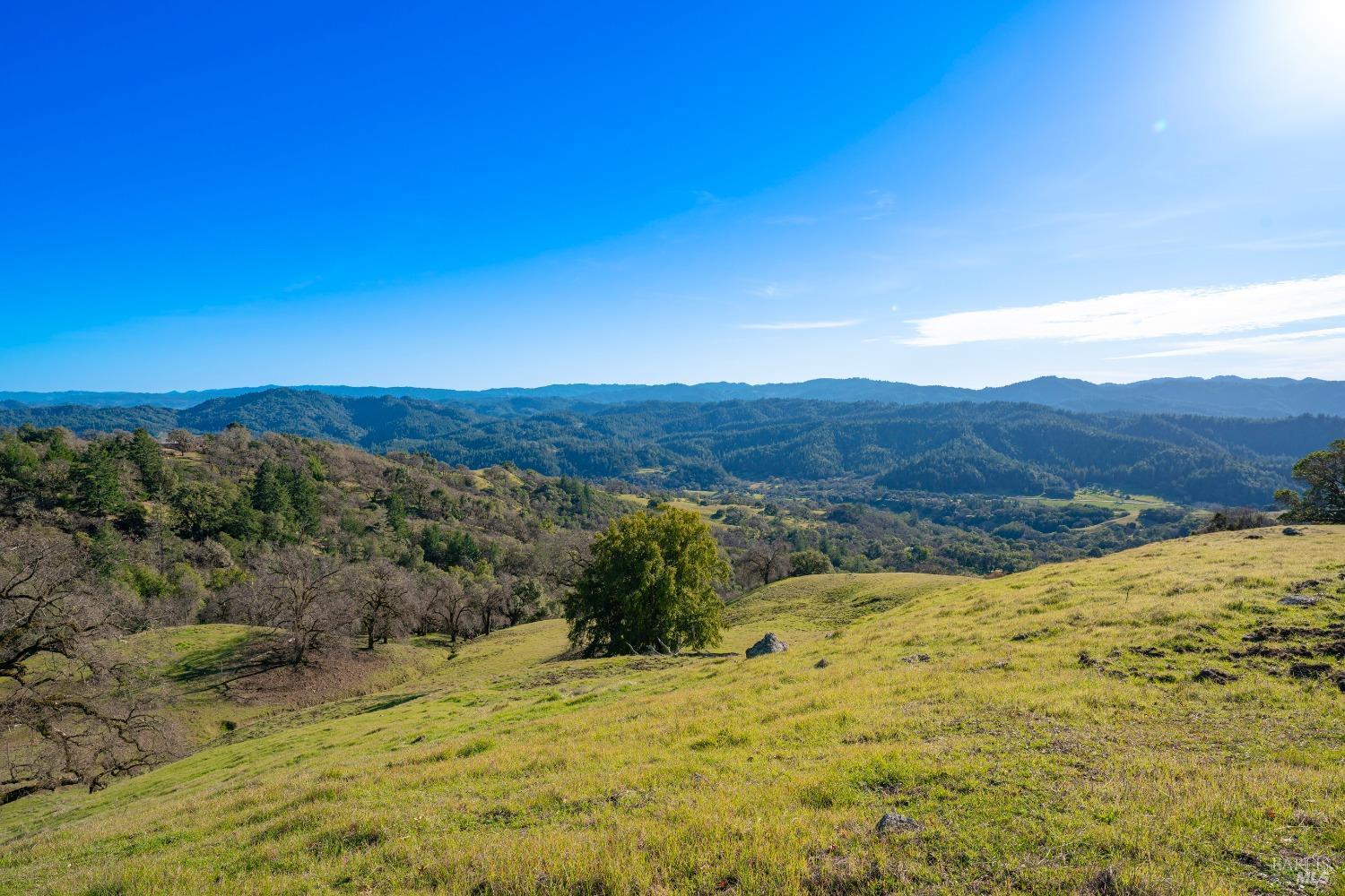 24000 Fig Tree Lane Yorkville CA 95494