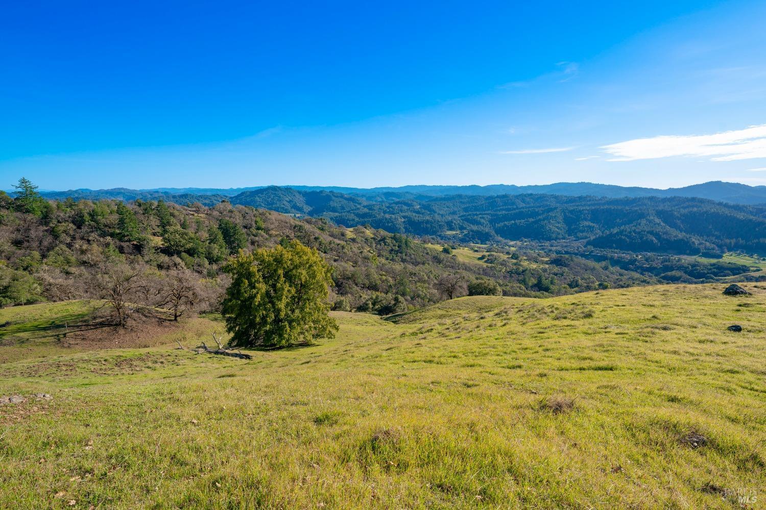 24000 Fig Tree Lane Yorkville CA 95494