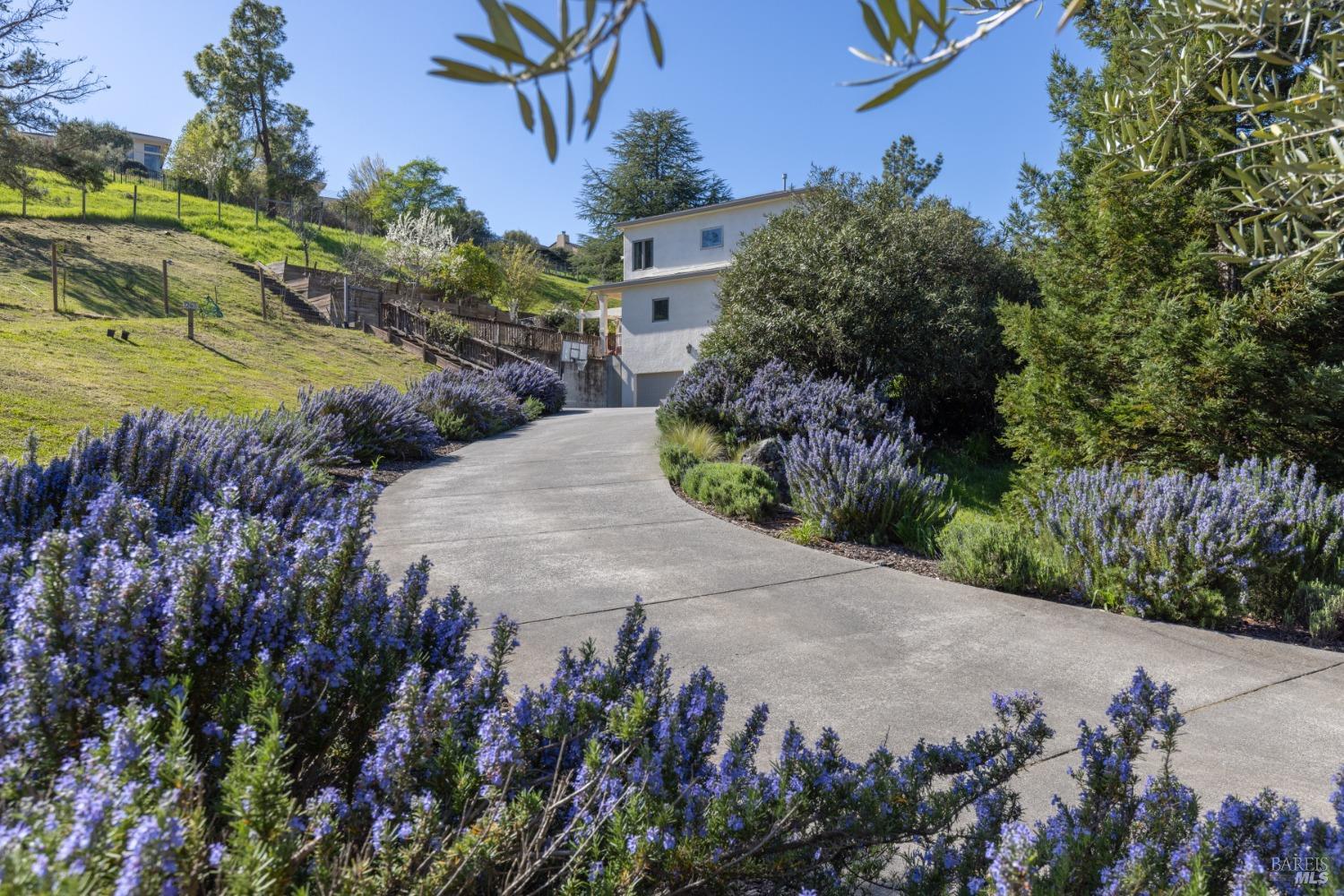 1263 Buhman Avenue Napa CA 94558