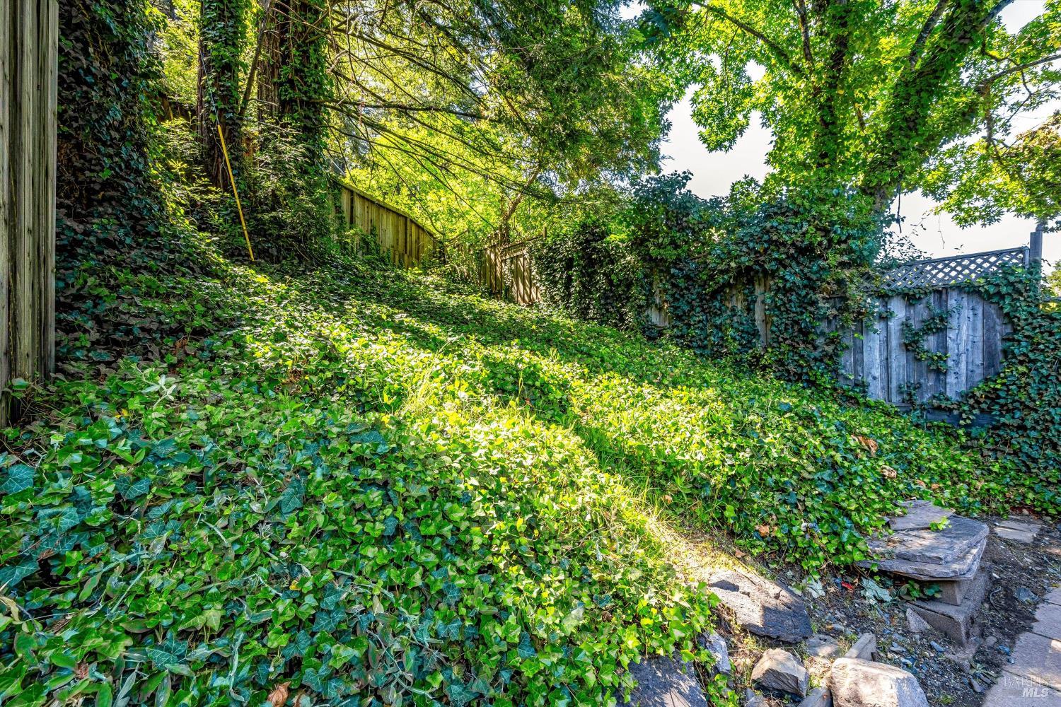 14950 Coleman Valley Road Occidental CA 95465