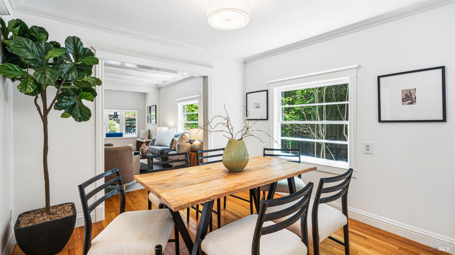 103 Oak Knoll Avenue San Anselmo CA 94960