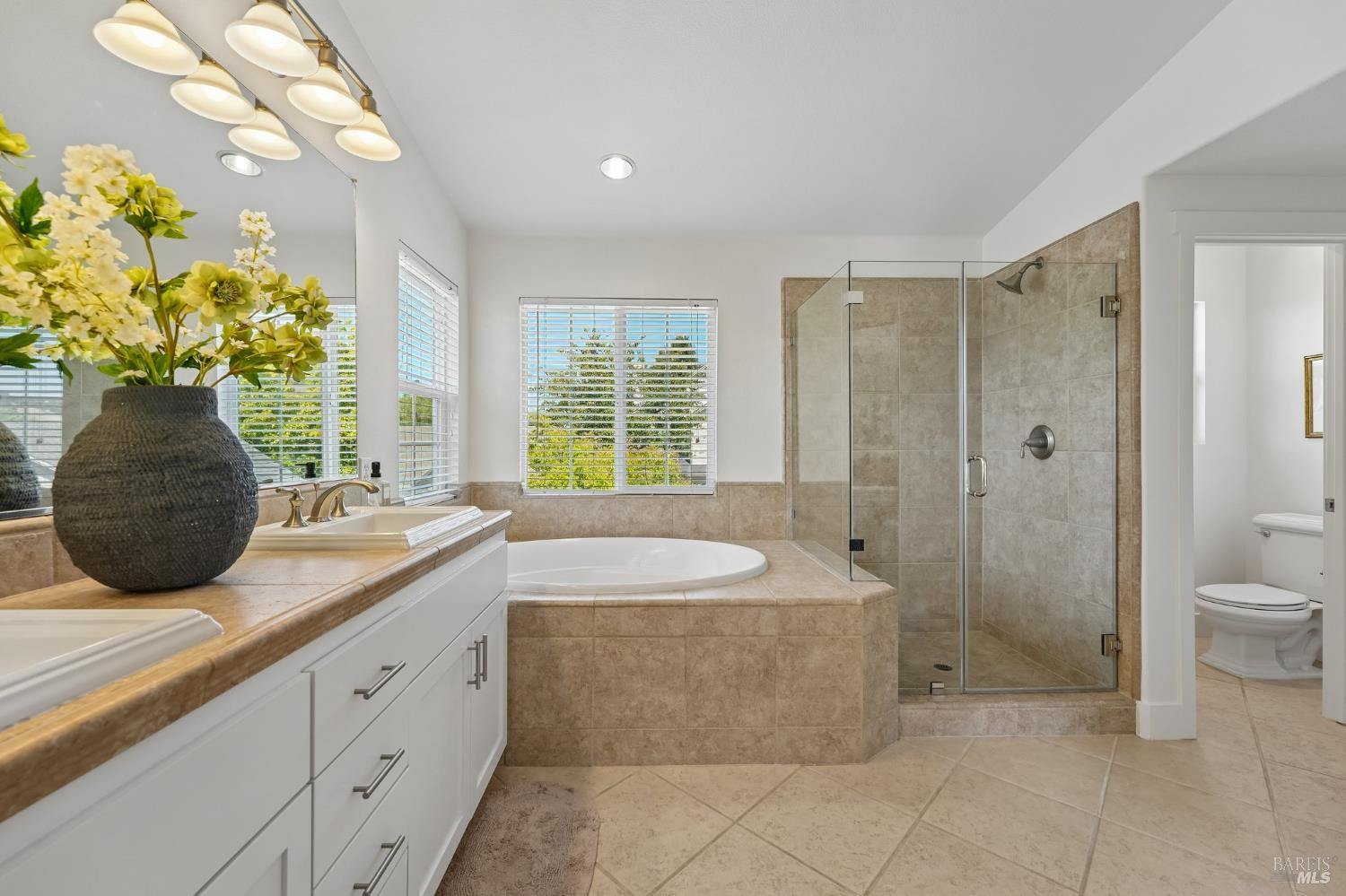 3 Buckhorn Court San Rafael CA 94903