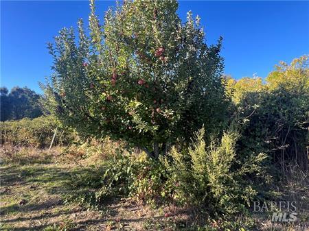 11255 Rancheria Road Upper Lake CA 95485