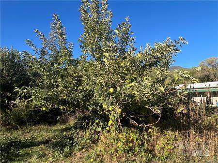 11255 Rancheria Road Upper Lake CA 95485