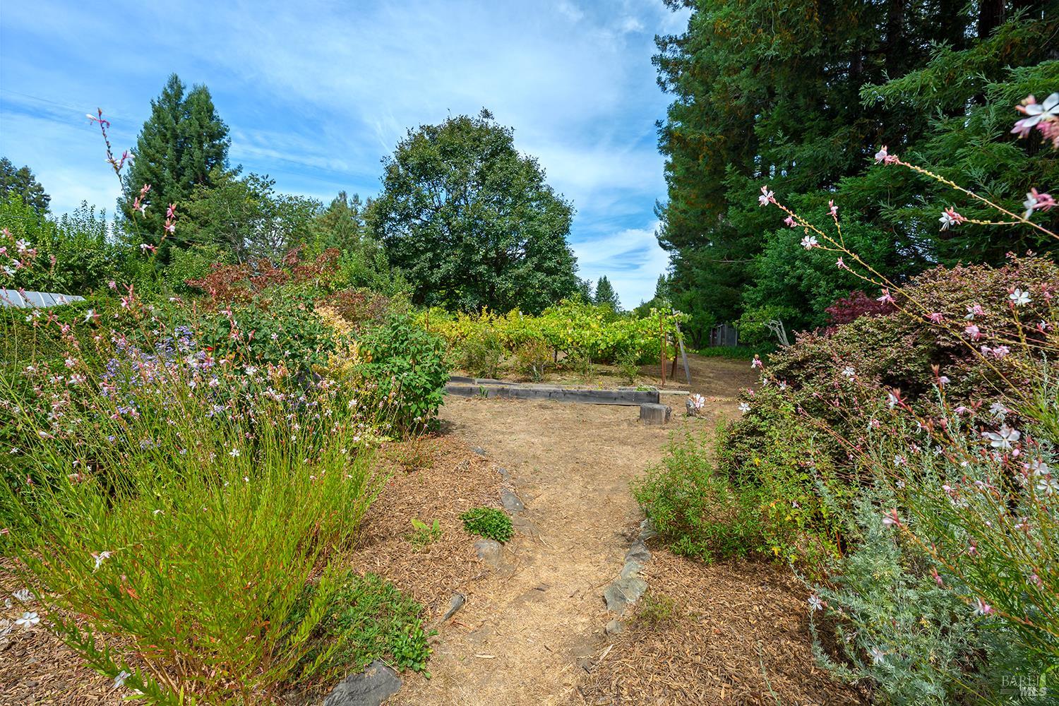 13190 Dupont Road Sebastopol CA 95472