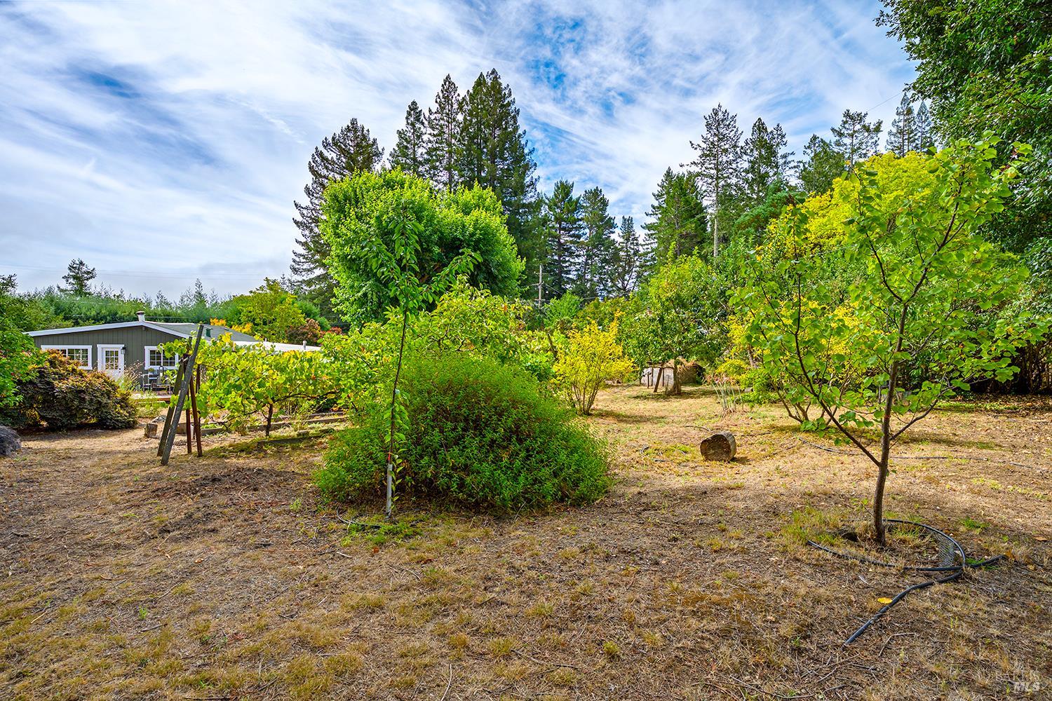 13190 Dupont Road Sebastopol CA 95472