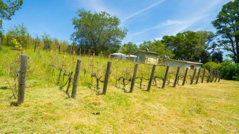 2267 Westside Road Healdsburg CA 95448