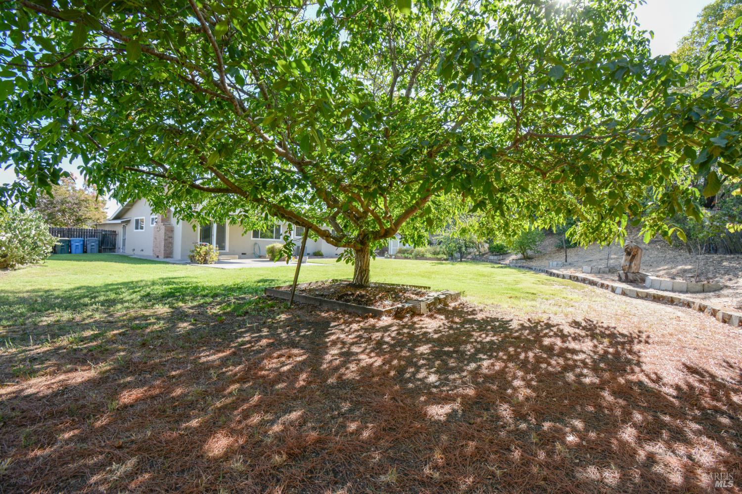 173 Santana Drive Vacaville CA 95687