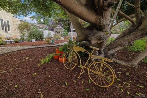 509 Rainsville Road Petaluma CA 94952