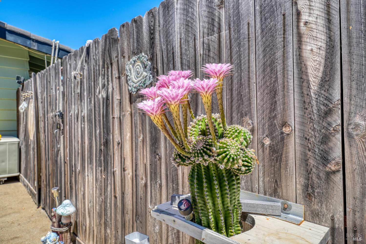 1138 Marwen Drive Ukiah CA 95482