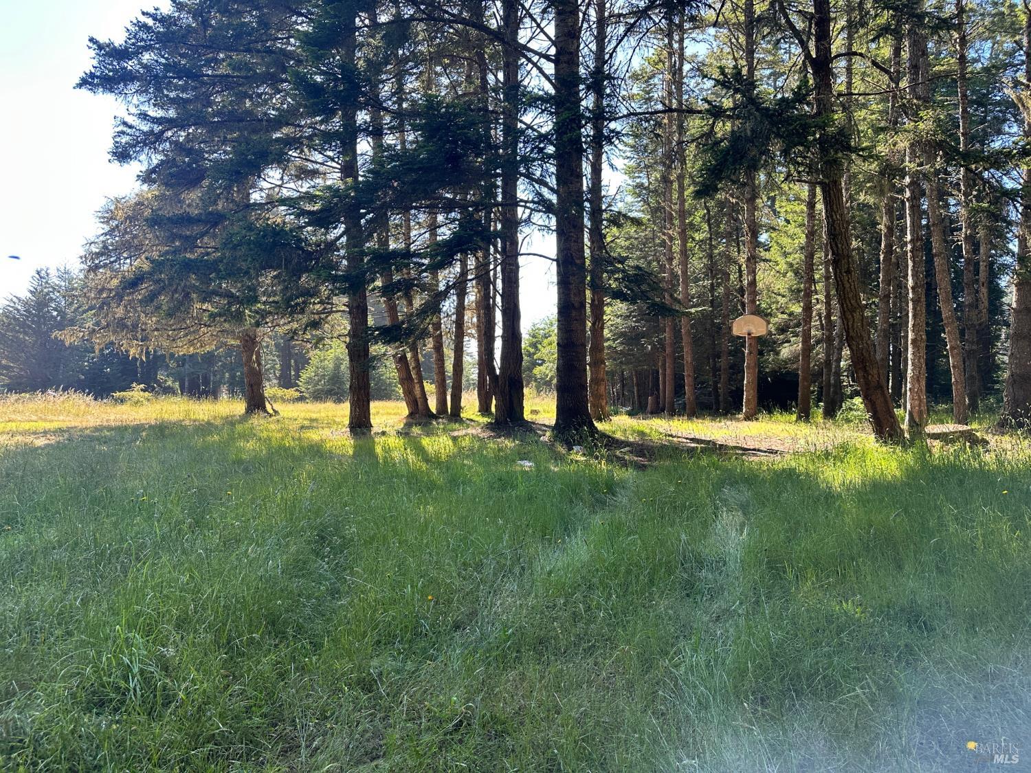2901 Albion Ridge B Road Albion CA 95410