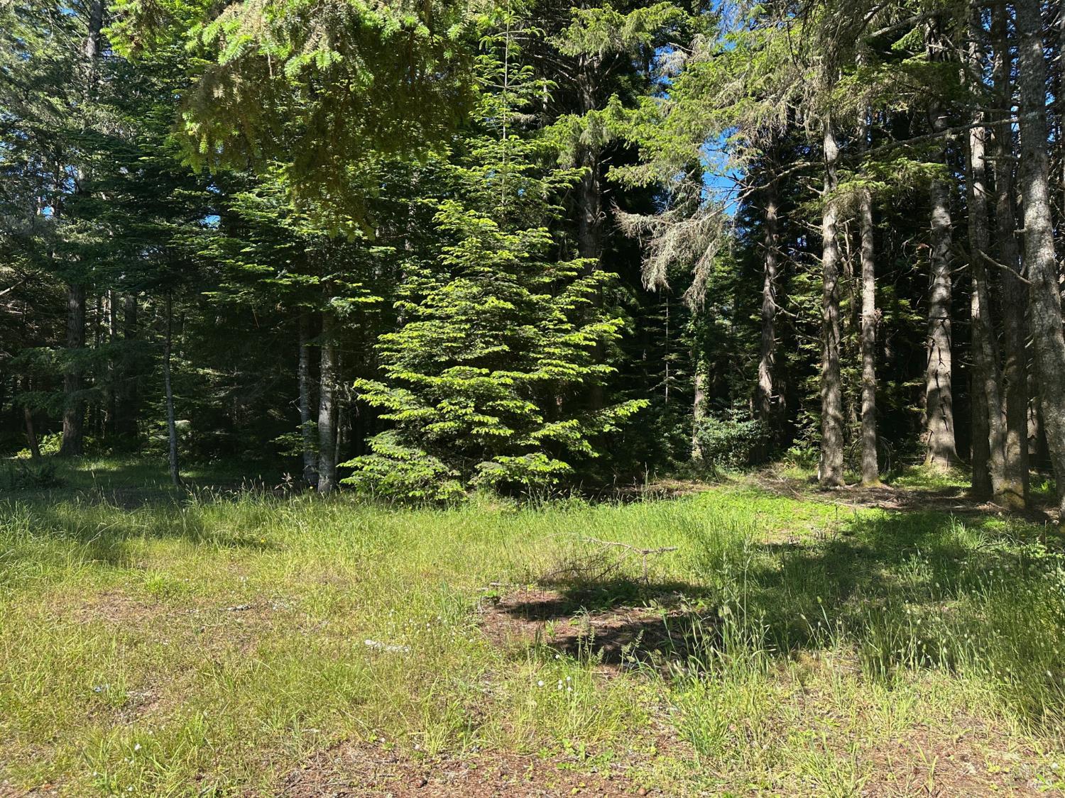 2901 Albion Ridge B Road Albion CA 95410