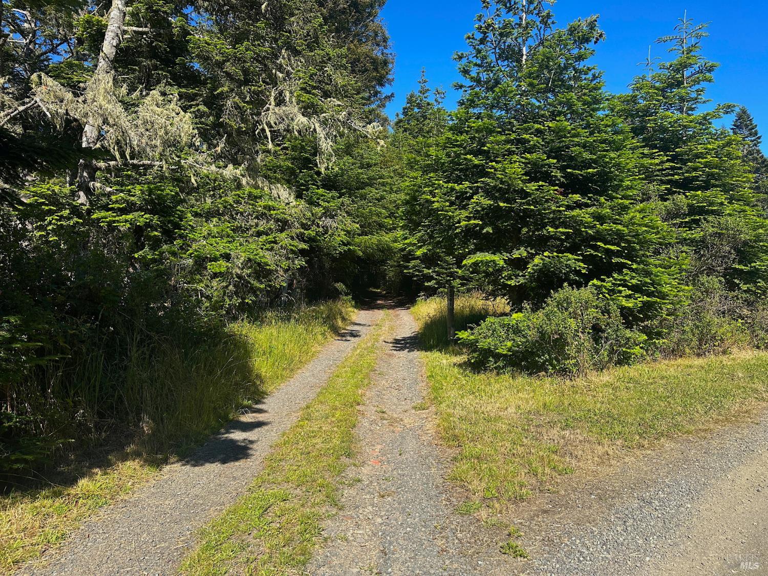 2901 Albion Ridge B Road Albion CA 95410