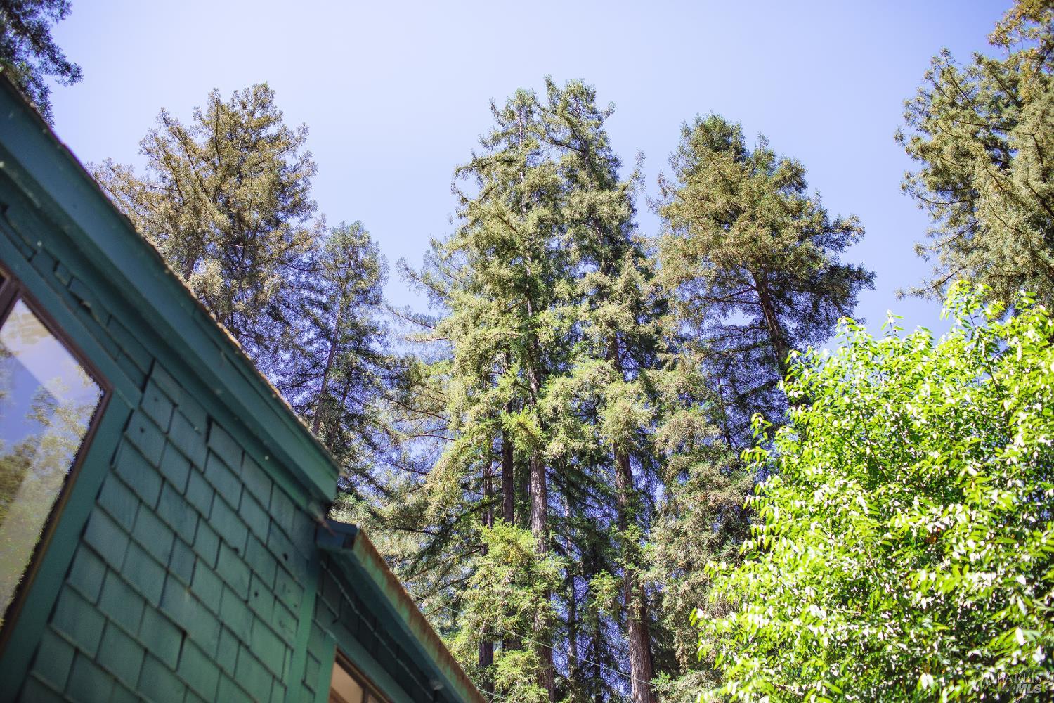 132 Madrone Avenue Camp Meeker CA 95419