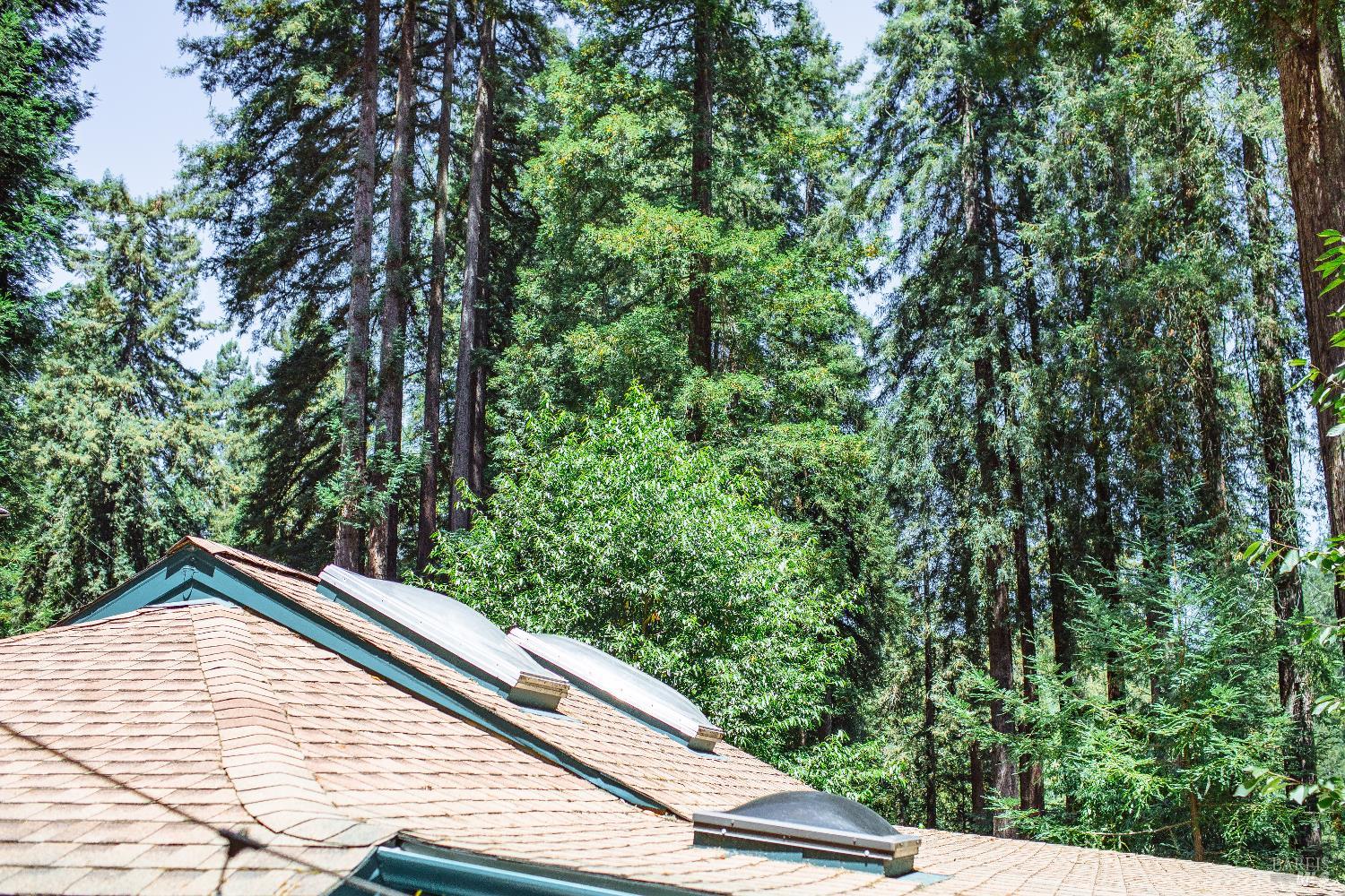 132 Madrone Avenue Camp Meeker CA 95419