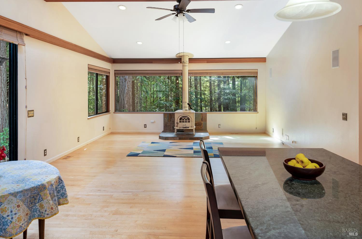 38340 Ocean Ridge Drive Gualala CA 95445