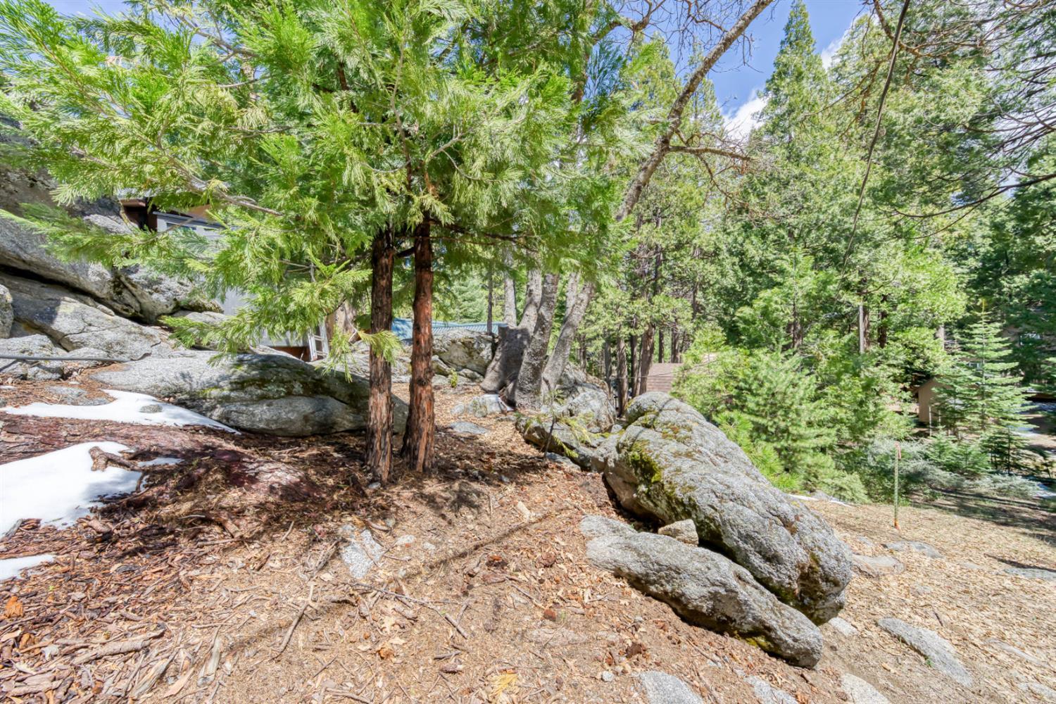 41336 Timber Drive Shaver Lake CA 93664