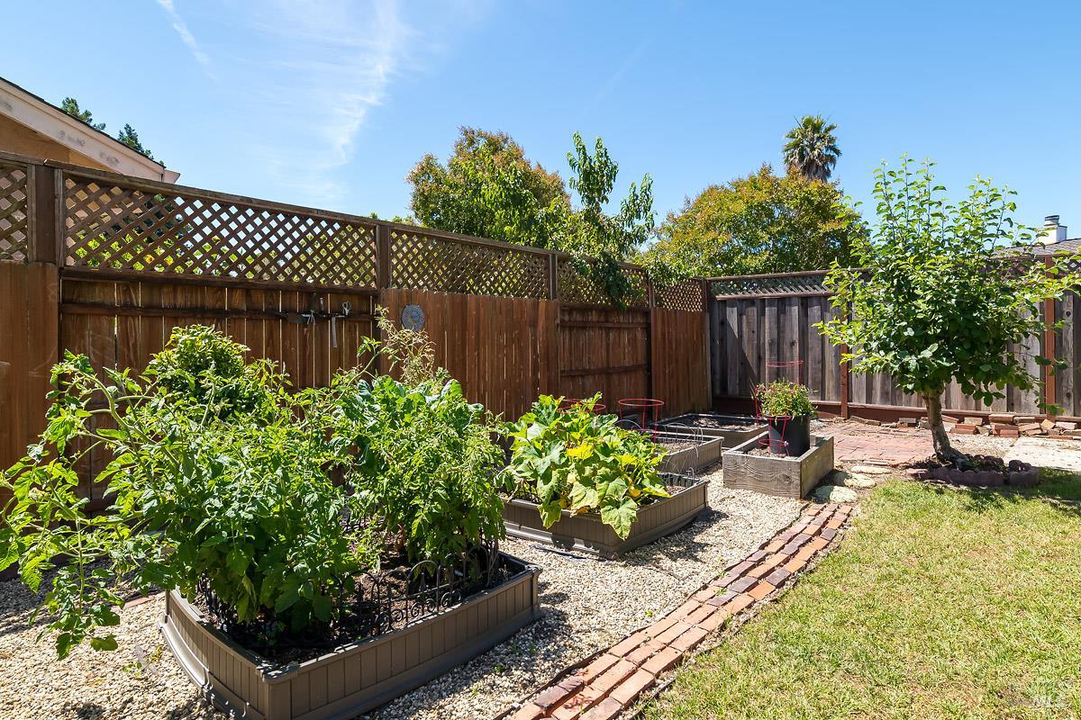 503 Maria Drive Petaluma CA 94954