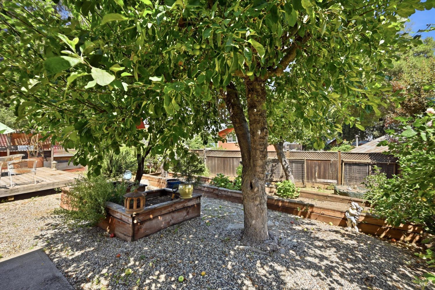 6560 Forestview Drive Kelseyville CA 95451
