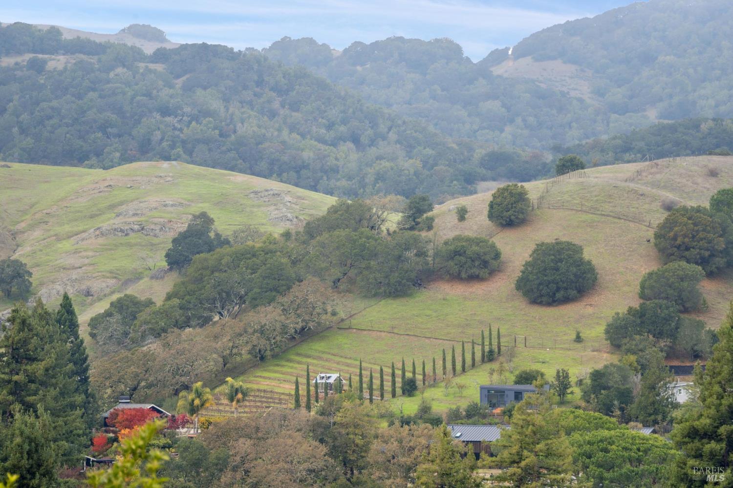 16 Dutch Valley Lane San Anselmo CA 94960