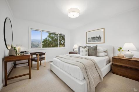 16 Dutch Valley Lane San Anselmo CA 94960